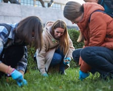 Na zdjęciu: sadzenie krokusów w ramach kampanii ?Szacunek, wdzięczność, wspólnota?