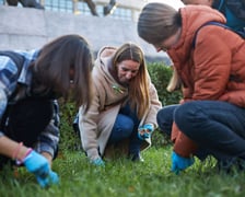 Na zdjęciu: sadzenie krokusów w ramach kampanii ?Szacunek, wdzięczność, wspólnota?