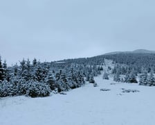 Na zdjęciu śnieg w Karkonoszach