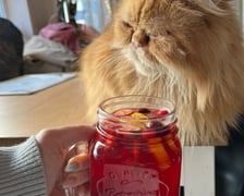 <h3>Kot Cafe</h3>
<p>W kawiarni Kot Cafe bezalkoholowego grzańca wypijecie w towarzystwie mruczk&oacute;w. Do wyboru są cztery smaki&nbsp;&ndash; imbirowy z cytrusami i rokitnikiem, hibiskusowy z r&oacute;żą, szarlotkowy i grapefruitowy z rozmarynem.&nbsp;</p>
<p>Kawiarnia jest kr&oacute;lestwem kot&oacute;w i to one są w tym miejscu najważniejsze. Aby czuły się komfortowo do kawiarni mogą przyjść osoby powyżej 10. roku życia, natomiast młodsze dzieci mogą ją odwiedzić w każdą niedzielę. Warto pamiętać, że należy przestrzegać regulaminu &ndash; znajdziecie go <a href="https://www.kotcafewroclaw.pl/general-8" target="_blank" rel="noopener">na stronie kociej kawiarni.</a></p>
<ul>
<li>Adres: Dubois 25</li>
<li>Dni otwarcia: codziennie od godz. 11:00 do 20:00</li>
</ul>