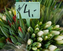 Zobaczcie co oferują wrocławskie kwiaciarki na pl. Solnym i za ile można kupić kwiaty, bukiety i wiązanki