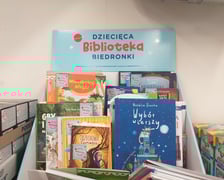 Tekturowy regał wystawienniczy z widocznym logo Dziecięcej Biblioteki