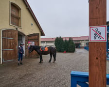 <p>Oznaczenie strefy dla koni, po kt&oacute;rej nie można spacerować. W tle koń i jeździec&nbsp;</p>