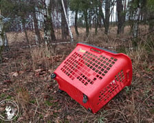 Śmieci porzucone w lasach w okolicy Legnicy