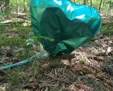 Śmieci porzucone w lasach w okolicy Legnicy