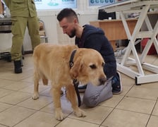 Na zdjęciu pies ratowniczy Orion podczas badania i podczas akcji poszukiwawczej w Turcji