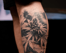 <p>3 miejsce w kategorii Najlepszy tatuaż realistyczny -&nbsp;Aleksandr Doroskov Herki Tattoo Stargard</p>