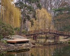 <p>Widoki z Ogrodu Botanicznego, rośliny powoli budzą się na wiosnę</p>