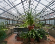 <p>Widoki z Ogrodu Botanicznego, rośliny powoli budzą się na wiosnę</p>