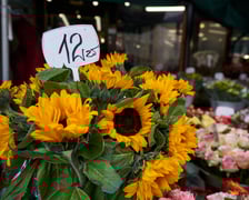 Ceny kwiatów na placu Solnym we Wrocławiu