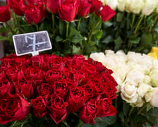 Ceny kwiatów na placu Solnym we Wrocławiu