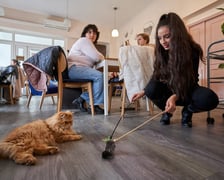 Kot Cafe . Kocia kawiarnia we Wrocławiu