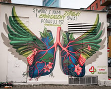 Prace przy muralu PłucoSkrzydła przy ul. Krzywoustego