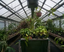 Ogród Botaniczny we Wrocławiu