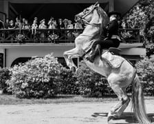 Zdjęcia Wiktora Rzeżuchowskiego, fotografa i  instruktora jazdy konnej