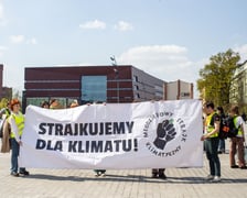 Młodzieżowy protest klimatyczny