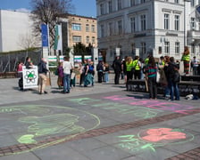 Młodzieżowy protest klimatyczny