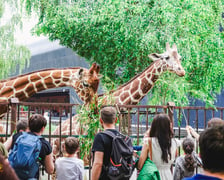 Wrocławski ogród zoologiczny.