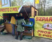 Dorota Stadnik z Juszczyna koło Środy Śląskiej sprzedaje szparagi od lat. Kiosk z warzywami ma przy ulicy Kosmonautów koło Leśnicy.