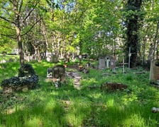 Cmentarz parafii Trójcy Świętej na Krzykach