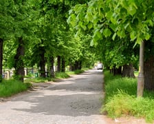 Ulica Pawia była główną drogą we wsi. Nazywała się Dorfstraße.