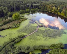 Arboretum Leśne