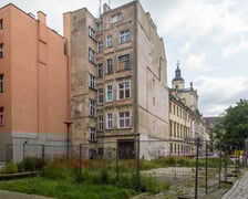 Maki wyrosły na działce budowlanej przy Uniwersytecie Wrocławskim