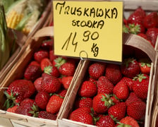 Ceny warzyw i owoców w Hali Targowej i w warzywniakach w centrum Wrocławia