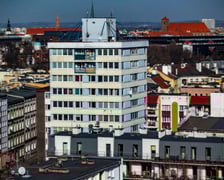 Trzonolinowiec