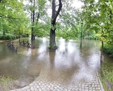 <p>Zalany park na Brochowie we Wrocławiu</p>