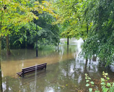 <p>Zalany park na Brochowie we Wrocławiu</p>