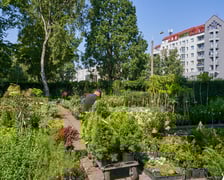 Słynny 30-letni sklep ogrodniczy przy ogrodzie botanicznym zamknięty! Co się stało?