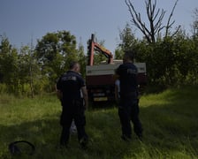 przenosiny pomnika ofiar obozu pracy przymusowej Burgweide, Wrocław 16 sierpnia 2023