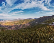 Sky Bridge 721