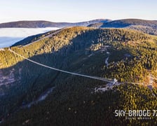 Sky Bridge 721