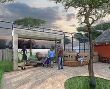 Projekt nowej Lwiarni w zoo