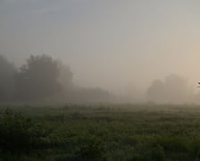 Zjawiskowy poranek na wrocławskich Złotnikach.