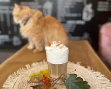 <p><strong>Kot Cafe</strong></p>
<p>Dyniową kawę wypijecie r&oacute;wnież w przemiłym kocim towarzystwie. W kawiarni Kot Cafe dyniowe latte podawane jest z bitą śmietaną, a syrop z dyni i przypraw korzennych przygotowywany jest na miejscu. Pojemność dyniowej latte to 330 ml, a jej cena wynosi 19 zł.</p>
<p>Przypominamy, że kawiarnia jest kr&oacute;lestwem kot&oacute;w i to one są tu najważniejsze. Aby czuły się komfortowo do kawiarni zapraszane są osoby powyżej 10. roku życia, natomiast młodsze dzieci mogą odwiedzić to miejsce w każdą niedzielę. Opr&oacute;cz tego, odwiedzający kawiarnię muszą przestrzegać regulaminu. <a href="http://kotcafewroclaw.pl/o-nas" target="_blank" rel="noopener">Przeczytacie go tutaj.</a></p>
<ul>
<li>Adres:&nbsp;Stanisława Dubois 25</li>
<li>Godziny otwarcia: codziennie w godz. 11:00-20:00</li>
</ul>