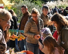 XX Dolnośląski Festiwal Dyni w Ogrodzie Botanicznym UWr.