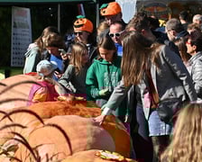 XX Dolnośląski Festiwal Dyni w Ogrodzie Botanicznym UWr.