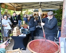 XX Dolnośląski Festiwal Dyni w Ogrodzie Botanicznym UWr.