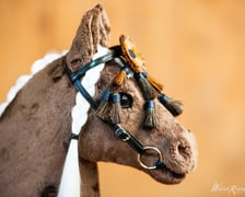 Wrocławska Liga Hobby Horse