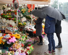 Kwiaty i znicze na groby w okresie Wszystkich Świętych. Od 25 października do 2 listopada, na terenach należących gminy Wrocław, są punkty sprzedaży zniczy i kwiatów.