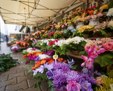 Kwiaty i znicze na groby w okresie Wszystkich Świętych. Od 25 października do 2 listopada, na terenach należących gminy Wrocław, są punkty sprzedaży zniczy i kwiatów.