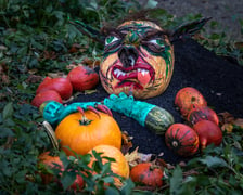 Jesień w Ogrodzie Botanicznym we Wrocławiu