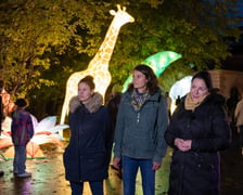 Garden of Lighst - Ogród Świateł - wystawa "Dzika Afryka" w zoo