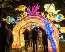 Garden of Lighst - Ogród Świateł - wystawa "Dzika Afryka" w zoo