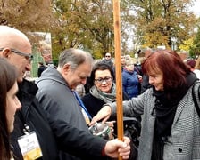 Wszystkich Świętych. Kwesta listopadowa na schroniska św. Brata Alberta. Warto pomóc