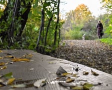 Jesień na Muchoborze Wielkim w nowym parku kieszonkowym przy ul. Kunickiego i w jego okolicach.