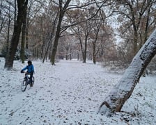 zima we Wrocławiu, 28.11.2023